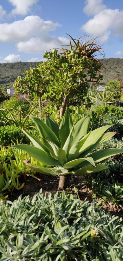 Villa Tartaruga Sedgefield Bagian luar foto